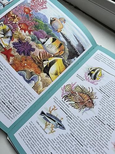 катя петя: Две книги за 500 
Детские книги — 4