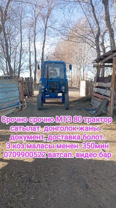 купить трактор мтз из европы: МТЗ-80 трактор, синий. - Колёса новые. - Полный комплект документов — 1