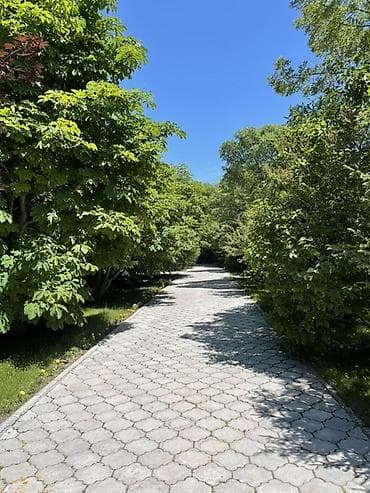 дача на день: Сдается уютный коттедж в с. Бостери, Иссык-Куль. только с 1 по 10 — 7