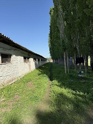 рестораны для свадьбы: 945 соток, Электричество — 1