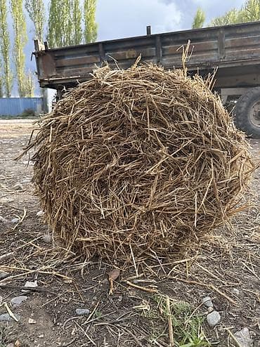 круглый: Мини Пресс‑подборщик рулонный (прицепной) - Тип: рулонный — 5