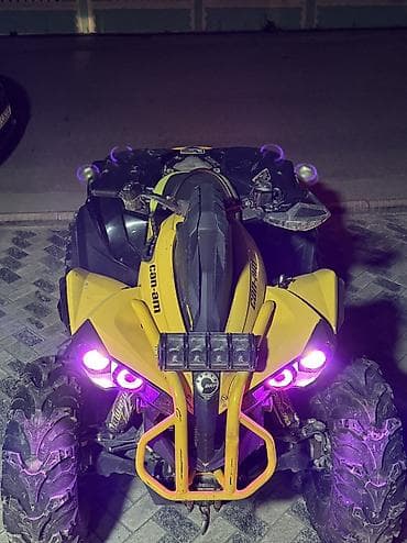 эндро мото: Квадроцикл BRP, Бензин, 1000 куб. см, Взрослый — 5