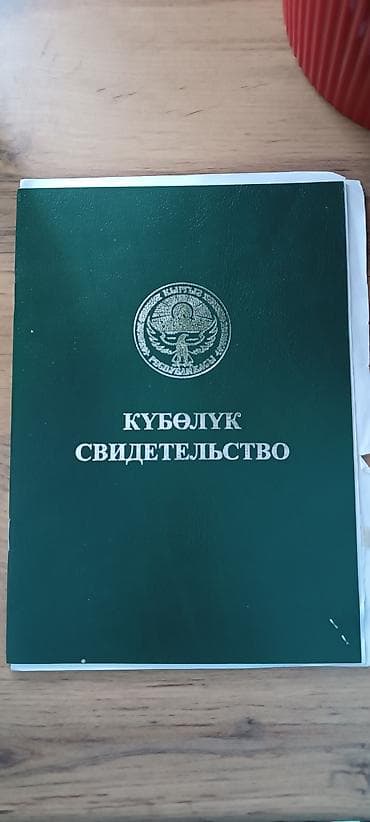 novel otel: 144 соток, Для сельского хозяйства, Договор купли-продажи — 1