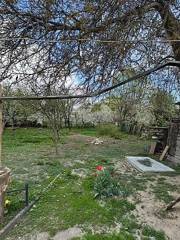 сдаю кошару: Продаю дом в городе Каракол по Улице Жамансариева 289, красная книга — 10