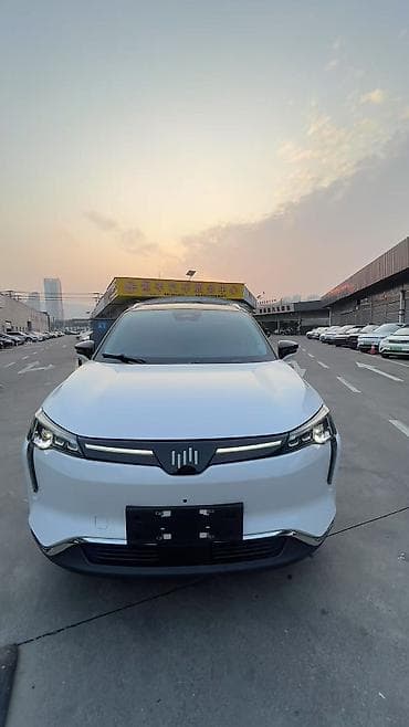 Weltmeister W6, 2021 г., 46000 км, В наличии