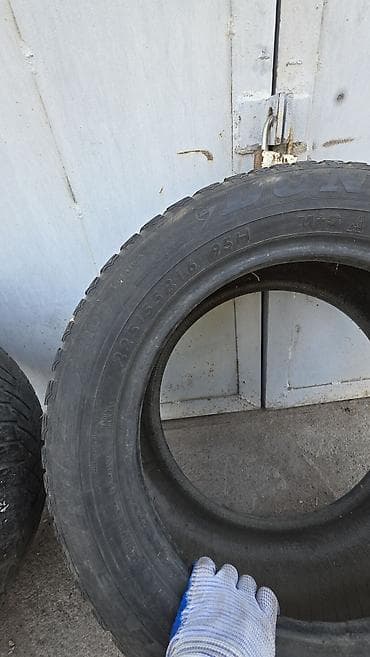 206 65 16: Шины 225 / 55 / R 16, Всесезонная, Б/у, Пара, Легковые, Япония, DUNLOP — 3