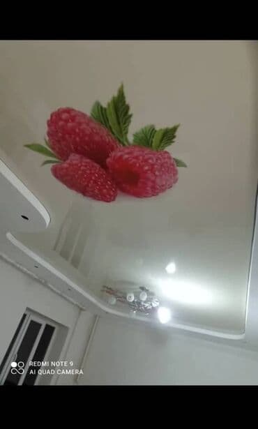 светильники потолочные армстронг: Натяжной потолок Глянцевое, Матовое, 3D потолки Гарантия, Бесплатная консультация, Бесплатный замер — 3