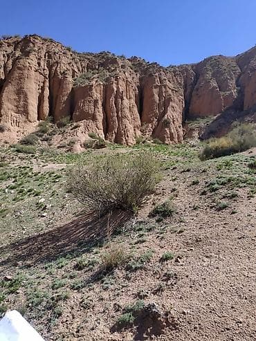 участок иссик куле: 15 соток, Для бизнеса, Красная книга — 5