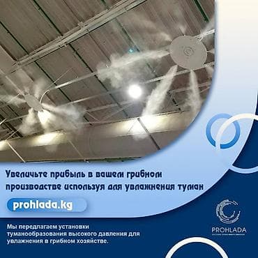 g pro: 🍄 Увеличьте прибыль в вашем грибном производстве с помощью системы — 1