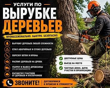 на краун: Услуги по вырубке деревьев Профессионально. Быстро. Безопасно. Что — 1