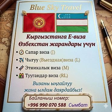 нур эл: Оформление e‑визы в Кыргызстан для граждан Узбекистана — Blue Sky — 2