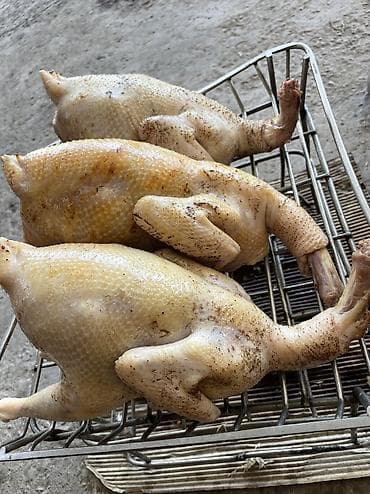 Азык-түлүктөр: Домашние потрошёные куры (тушка целиком) Опаленная Вес 1.3-1.8 кг — 2