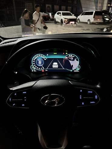 Hyundai Palisade: 2021 г., 2.2 л, Автомат, Бензин, Кроссовер — 10