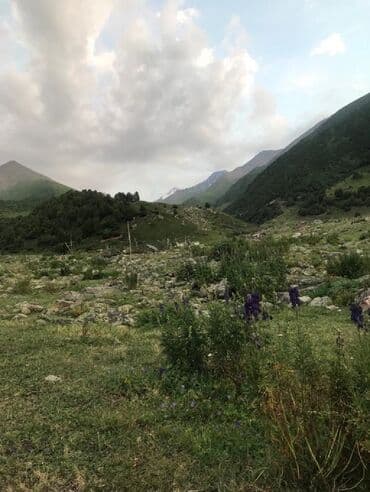 продаю зем долю: 30 соток, Для сельского хозяйства — 3