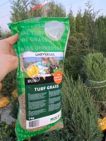 для газона: Газон газоны спорт низко рослый солнечный теневой универсальный — 4