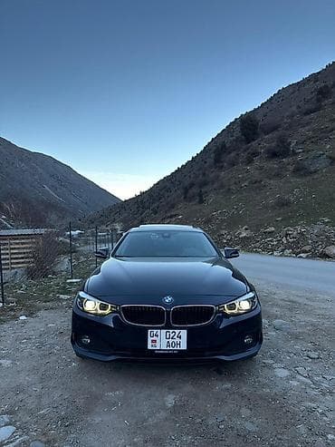 4 нашка: BMW Серия 4: 2019 г., Автомат, Купе — 2
