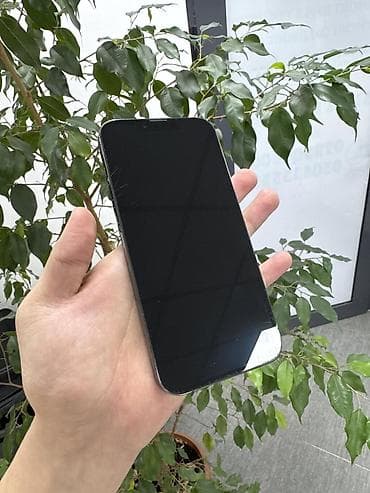 m2 pro 14: IPhone 13 Pro Max, Alpine Green — 4