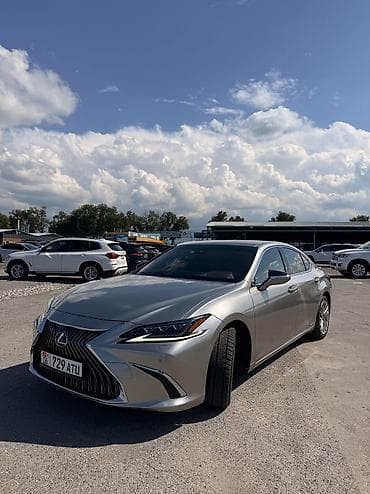 полировка панели: Lexus ES: 2019 г., 2.5 л, Гибрид, Седан — 2