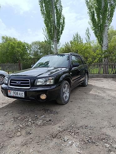 Subaru: Subaru Forester: 2003 г., 2 л, Автомат, Бензин, Универсал — 1
