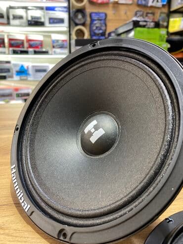 динамик пионер: Hannibal — 3