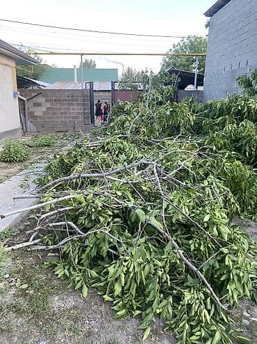 пасуда даром: Бесплатно забери те дрова — 2