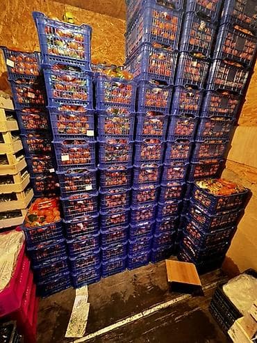 Полуфабрикаты: Мандарины, 800 сом за ящик — 1