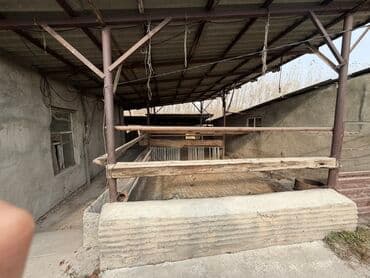 продается дом селекция: 2000 м², 5 бөлмө, Забор, тосулган — 11