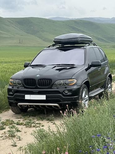 эндуро к5: BMW X5: 2005 г., 4.4 л, Автомат, Бензин, Внедорожник — 3