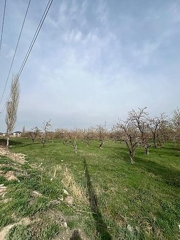 real sight: 1 комната, 54 м², 106 серия улучшенная, 6 этаж, ПСО (под самоотделку) — 3