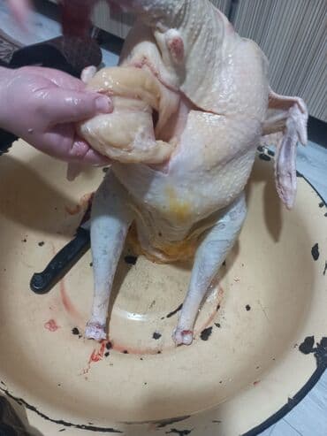 ит базар бишкек: Семиз индюктар сатылат бир жылдыктар кааласанар союп беребиз — 8