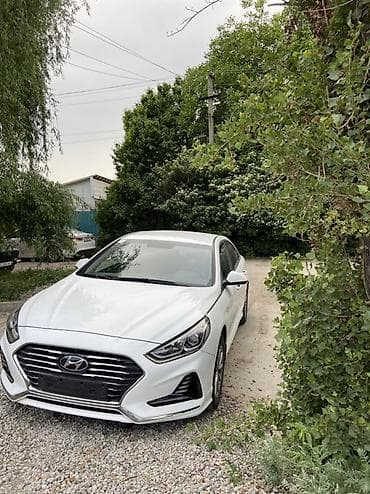 honda sanata: Hyundai Sonata: 2019 г., 2 л, Автомат, Газ, Седан — 3
