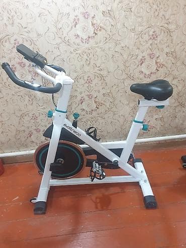 Спорт и отдых: Спин-байк (велотренажёр) для дома - Тип: механический спин-байк с — 1