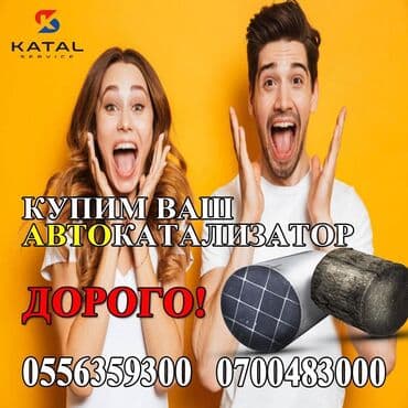 аккумулятор бишкек дордой цена: Катализаторы дорого котализатор котолизатор католизатор дорого анализ — 1