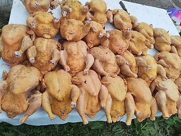 куриные спинки: Домашние куры-бройлеры, потрошёные, подготовленные к приготовлению. - — 4
