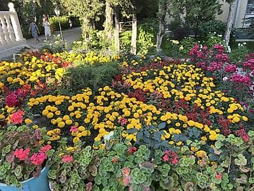 Недвижимость: Гостиница на Иссык-Куле, Cozy Beach Apartment Raduga West, Радуга West, Кош-Кол, 4 места, Посуточно — 10