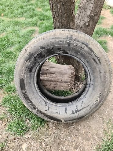 шина 15 с: Автомобильная шина ( лето ) Размер R15 235/75 есть только одна шина — 4