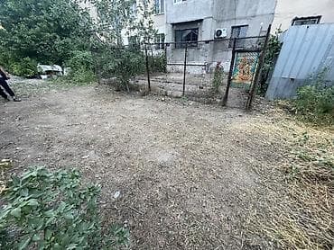 половой лес: Самовывоз — 8