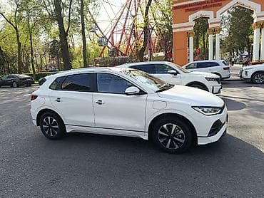 echo platz: BYD E2: 2025 г., 0.1 л, Автомат, Электромобиль, Кроссовер — 1