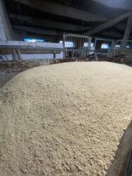 ОСП / OSB плиты: Стружка/опилки сосна древесные крупной и средней фракции Общий 5,6 — 2