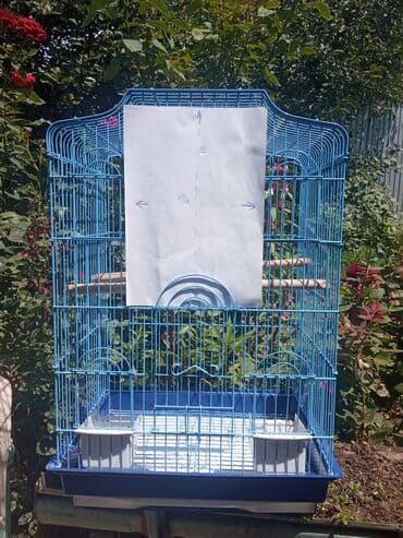 ульи пчелы: Клетка для попугаев, большая 
Цена 5000 
торг уместен — 1