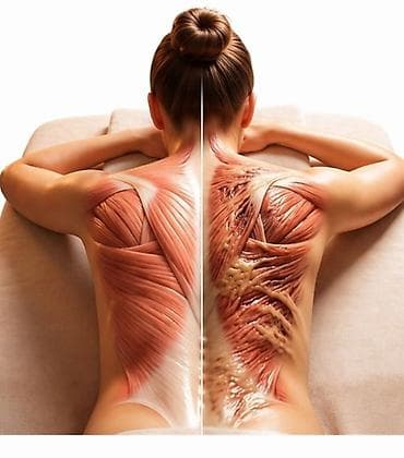 Массаж | Лечебный массаж | Сутулость, нарушение осанки