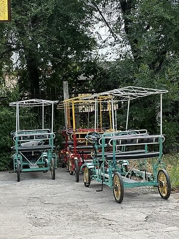 Детский мир: Прокатные веломобили с навесом — семейные и групповые педальные — 2