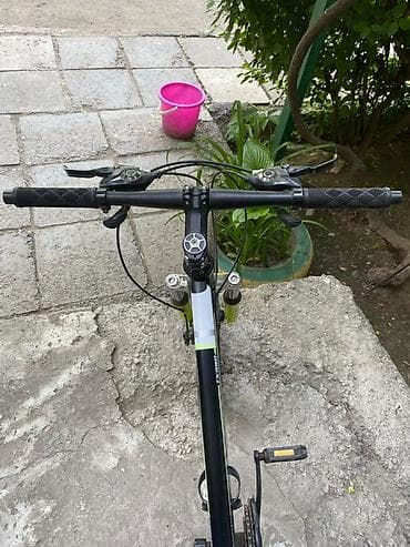 мульти: Тоо велосипеди, Болот — 4