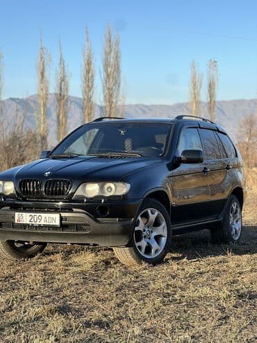 BMW X5: 2000 г., 4.4 л, Автомат, Газ, Кроссовер