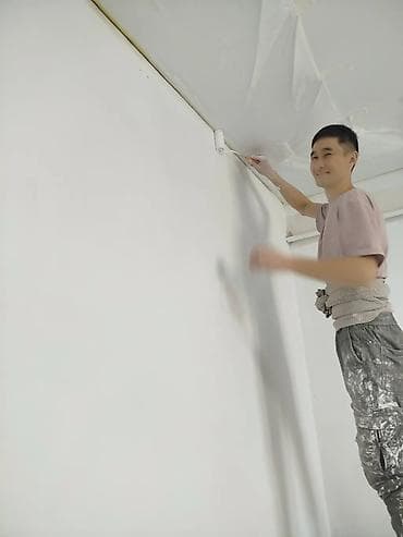 покраска желез: Покраска наружных стен, На масляной основе, Больше 6 лет опыта — 10