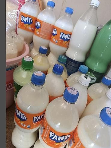 оптом фрукты овощи: 🥛 Уй кымызы Табигый уйдун сүтүнөн жасалган даамдуу уй кымызы. Жумшак — 1