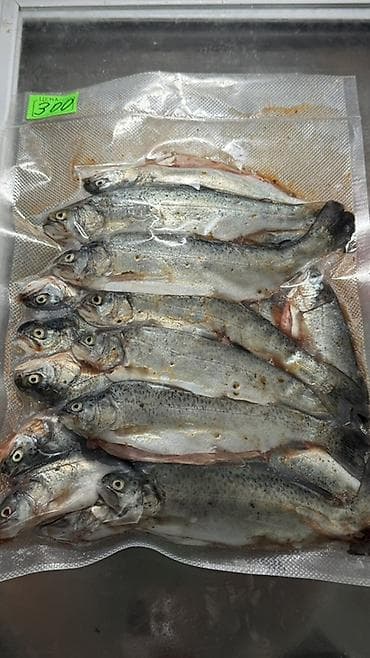 утиная грудка бишкек: СВЕЖАЯ ФОРЕЛЬ ЦЕНА 500 сом 
Отправка в регионы — 10