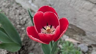 12 pro max 128: Google Pixel 7, Б/у, 128 ГБ, цвет - Белый — 3