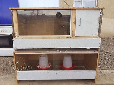 уй жаныбар: Брудер для цыплят/молодняка птицы - Закрытая теплая коробка с — 8