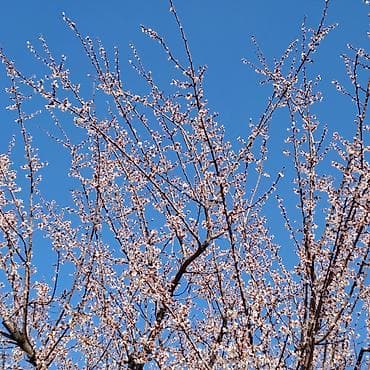 Требуется комендант в общежитие вуза с высшим образованием